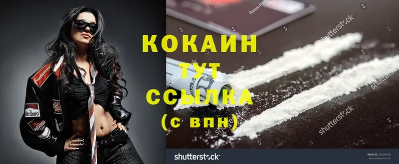 купить   Белая Холуница  Cocaine 99% 